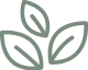 logo-icon-color