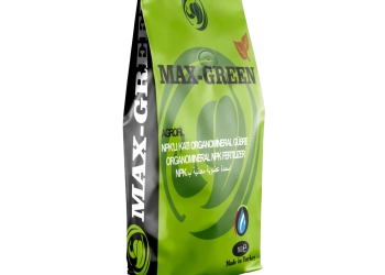 MAX GREEN