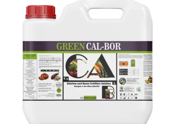 GREEN CAL BOR