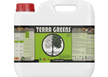 TERRA GREENS
