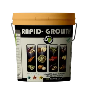 RAPID GROWTH