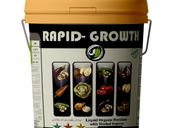 RAPID GROWTH