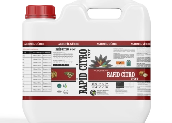RAPID CITRO-POTASSIUM